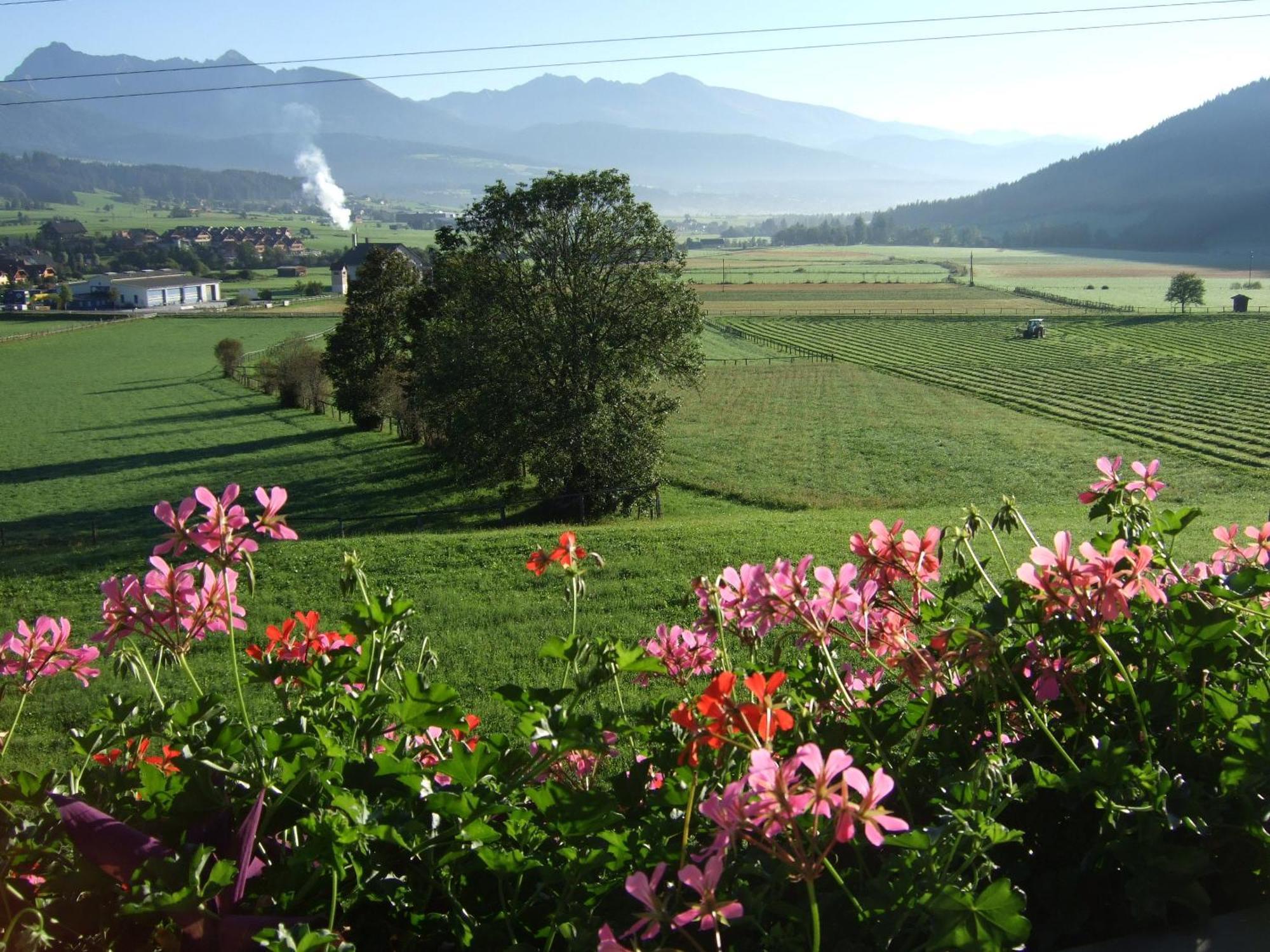 Ferienwohnungen Trattner Mauterndorf  Buitenkant foto