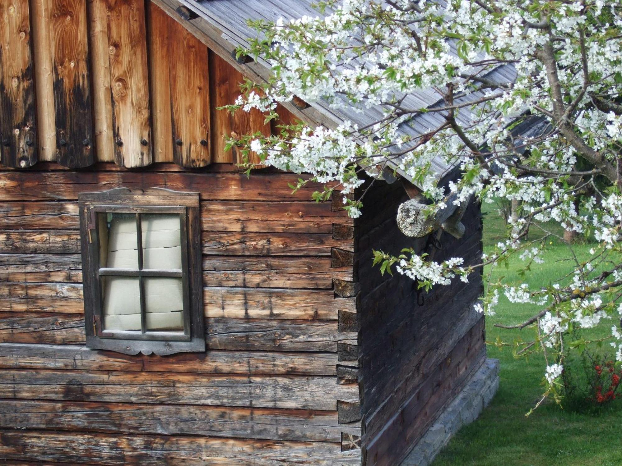 Ferienwohnungen Trattner Mauterndorf  Buitenkant foto
